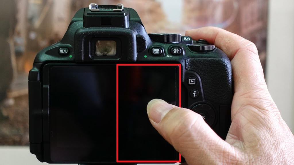 Le Nikon D5600 possède-t-il un flash ? 